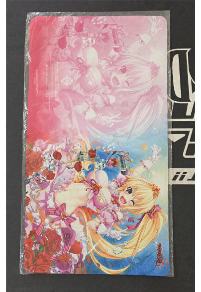 魔法の主演 ニナ