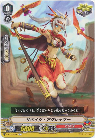 サベイジ・アグレッサー