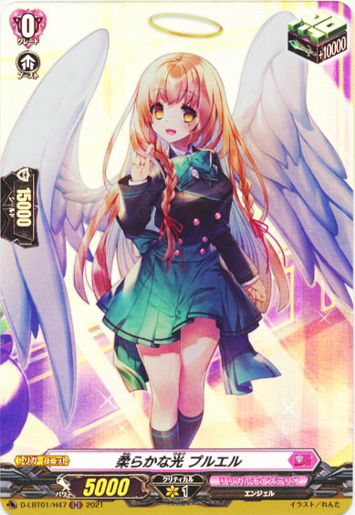 柔らかな光 プルエル