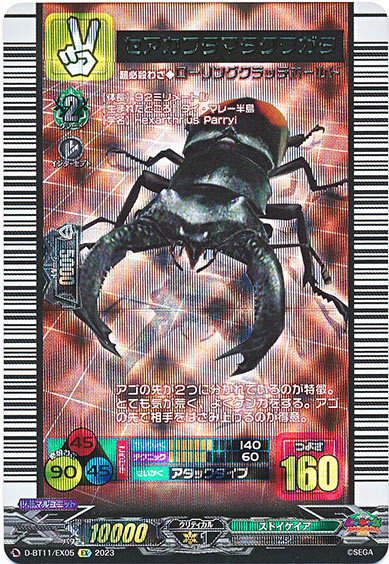 セアカフタマタクワガタ