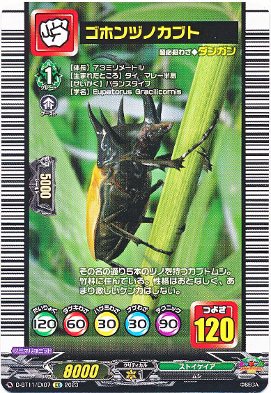 ゴホンヅノカブト