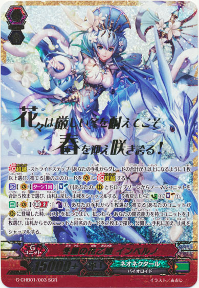 冬麗の花乙姫 インベルノ